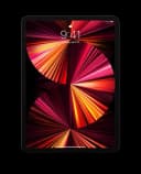 Apple iPad Pro 11 (2021) 2TB Space Gray thumbnail